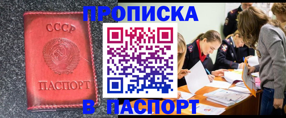 прописка для школы в Ленинградской области